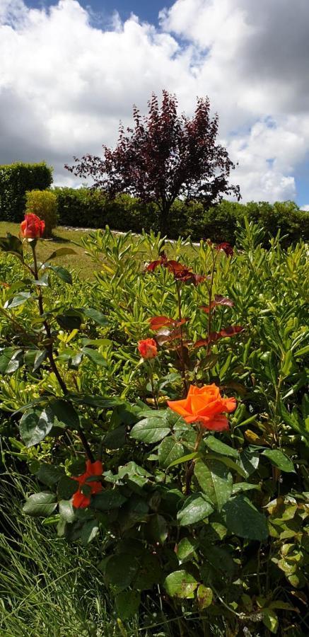 Ca Rosanna Bed & Breakfast Rocca San Felice Dış mekan fotoğraf